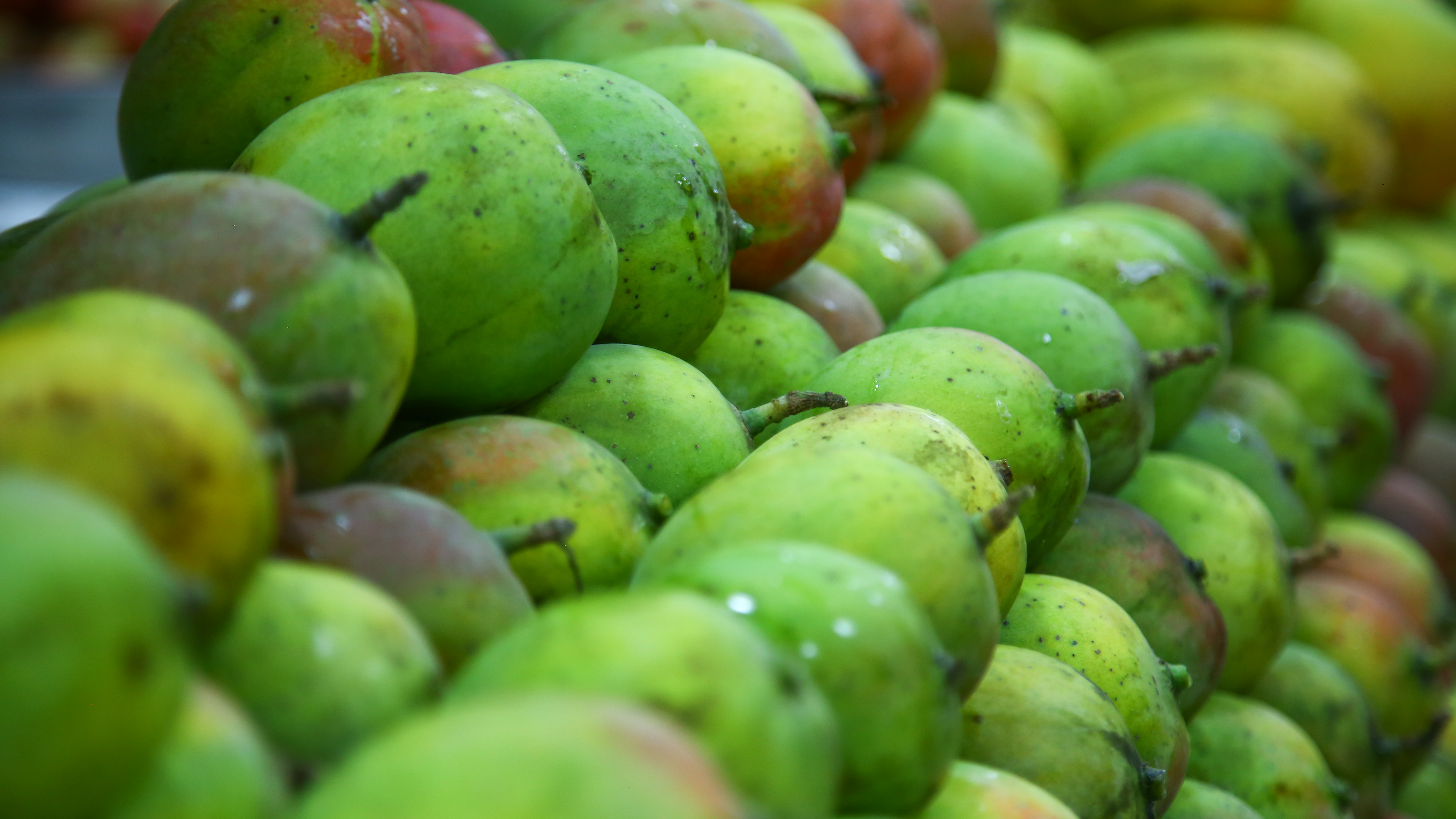 Fruits and Vegetables